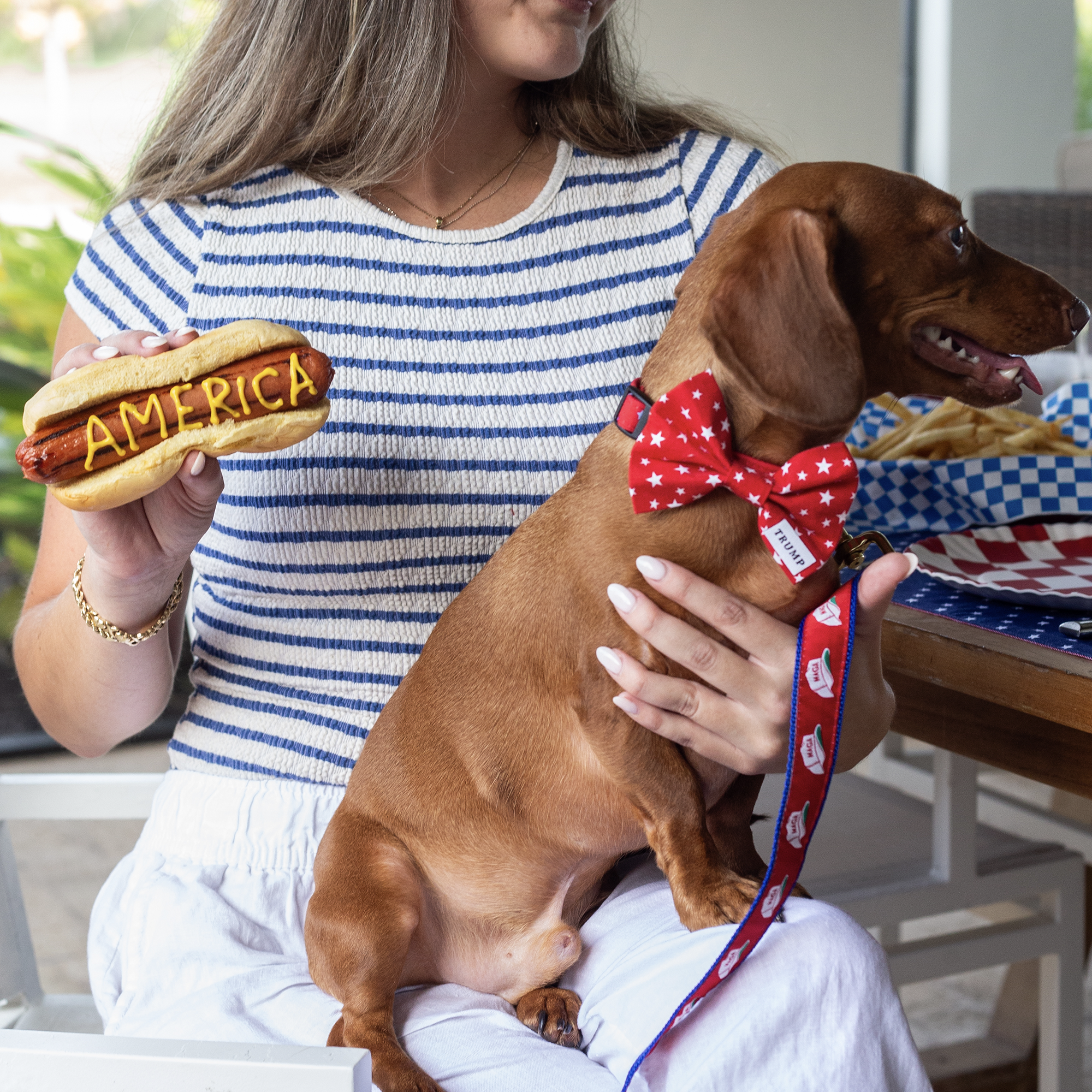 Dog Bow Tie - Red Stars Dog Bow Tie - Red Stars