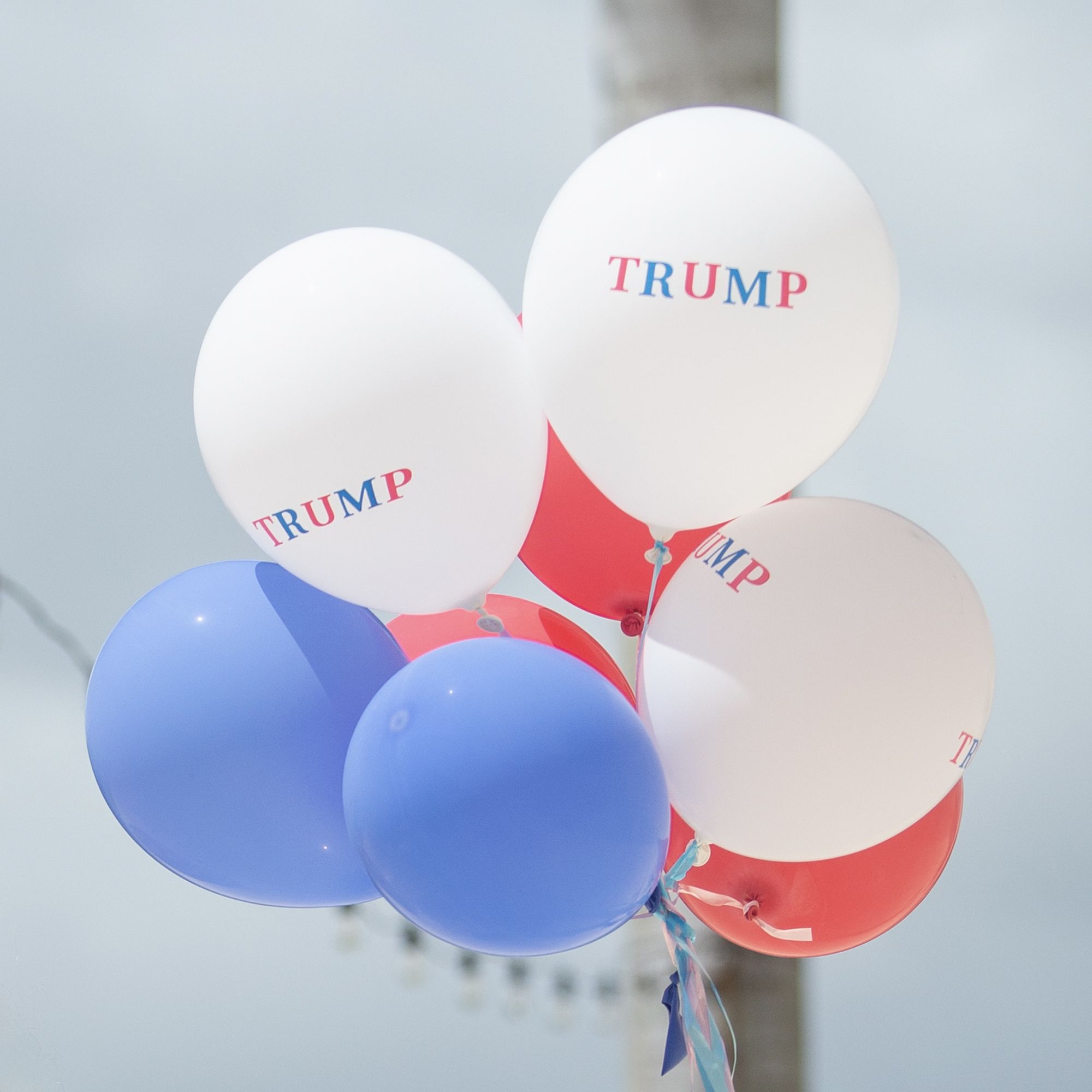 Trump Balloons – 24 Pack Trump Balloons – 24 Pack